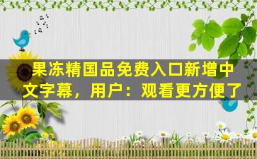 果冻精国品免费入口新增中文字幕，用户：观看更方便了